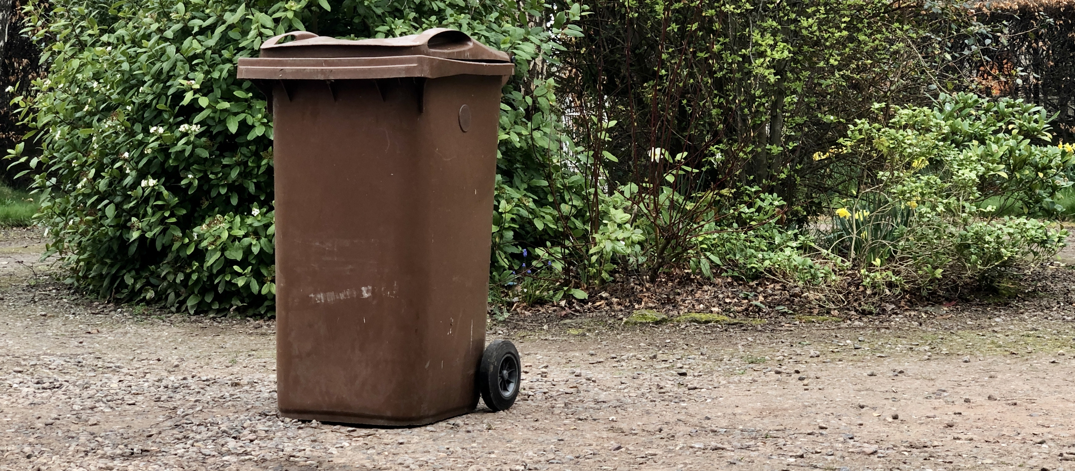 brown bin